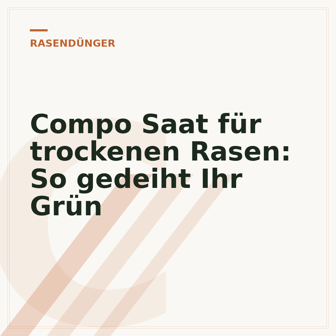 Compo Saat für trockenen Rasen: So gedeiht Ihr Grün