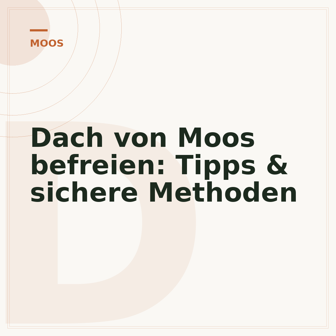 Dach von Moos befreien: Tipps & sichere Methoden