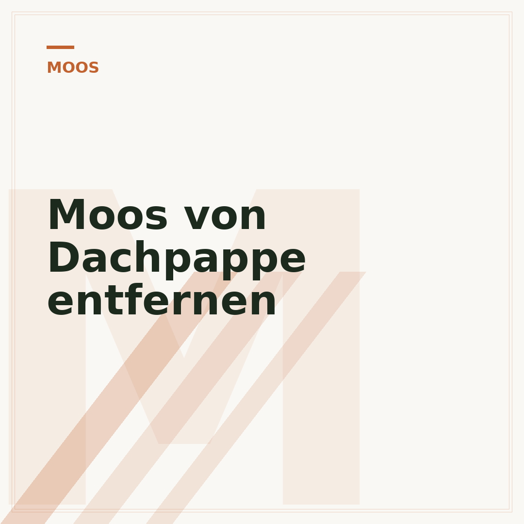 Moos von Dachpappe entfernen