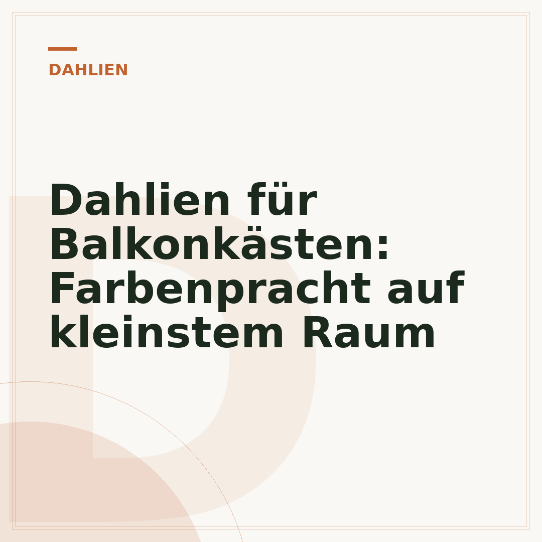 Dahlien für Balkonkästen: Farbenpracht auf kleinstem Raum