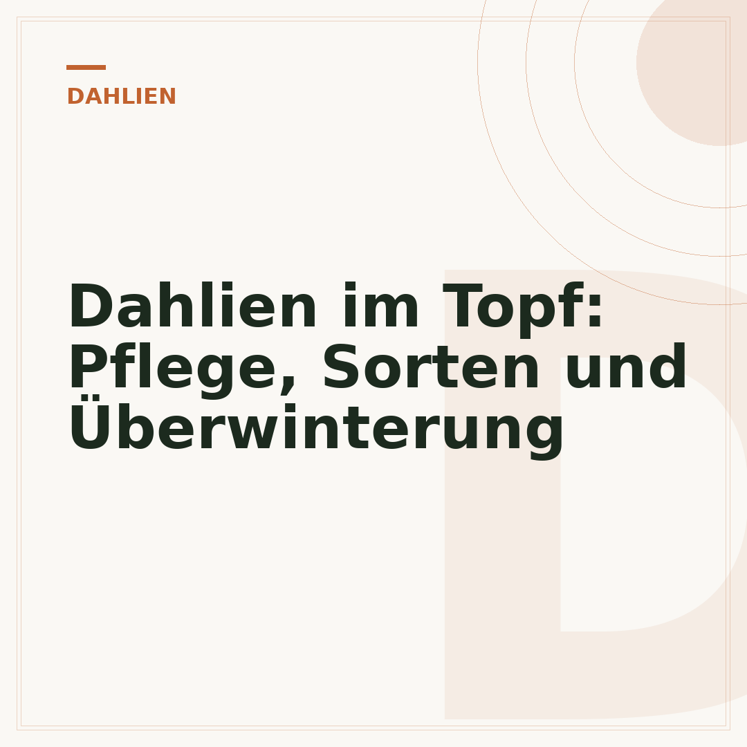 Dahlien im Topf: Pflege, Sorten und Überwinterung
