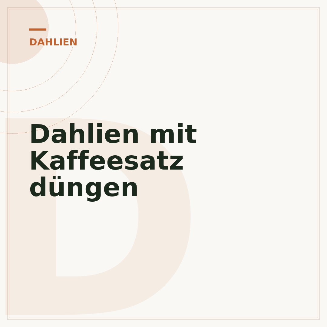 Dahlien mit Kaffeesatz düngen