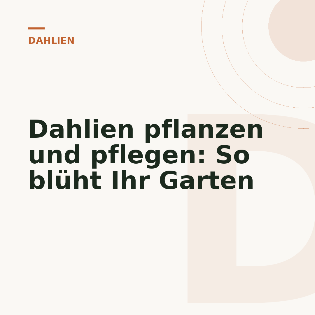 Dahlien pflanzen und pflegen: So blüht Ihr Garten