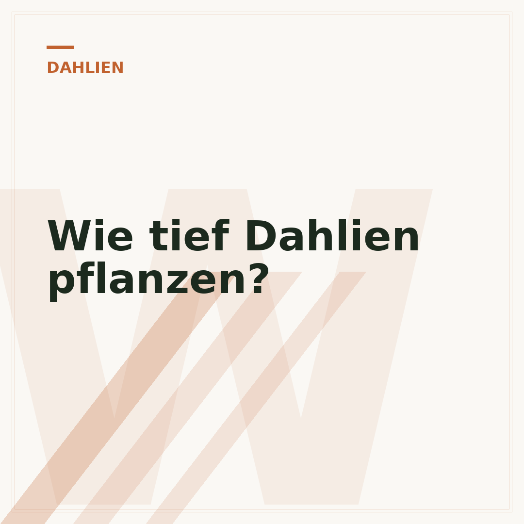 Wie tief Dahlien pflanzen?