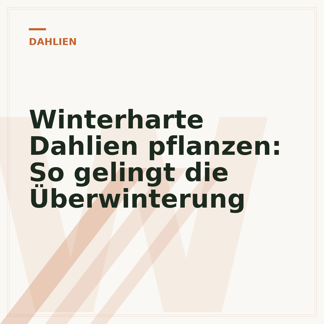 Winterharte Dahlien pflanzen: So gelingt die Überwinterung