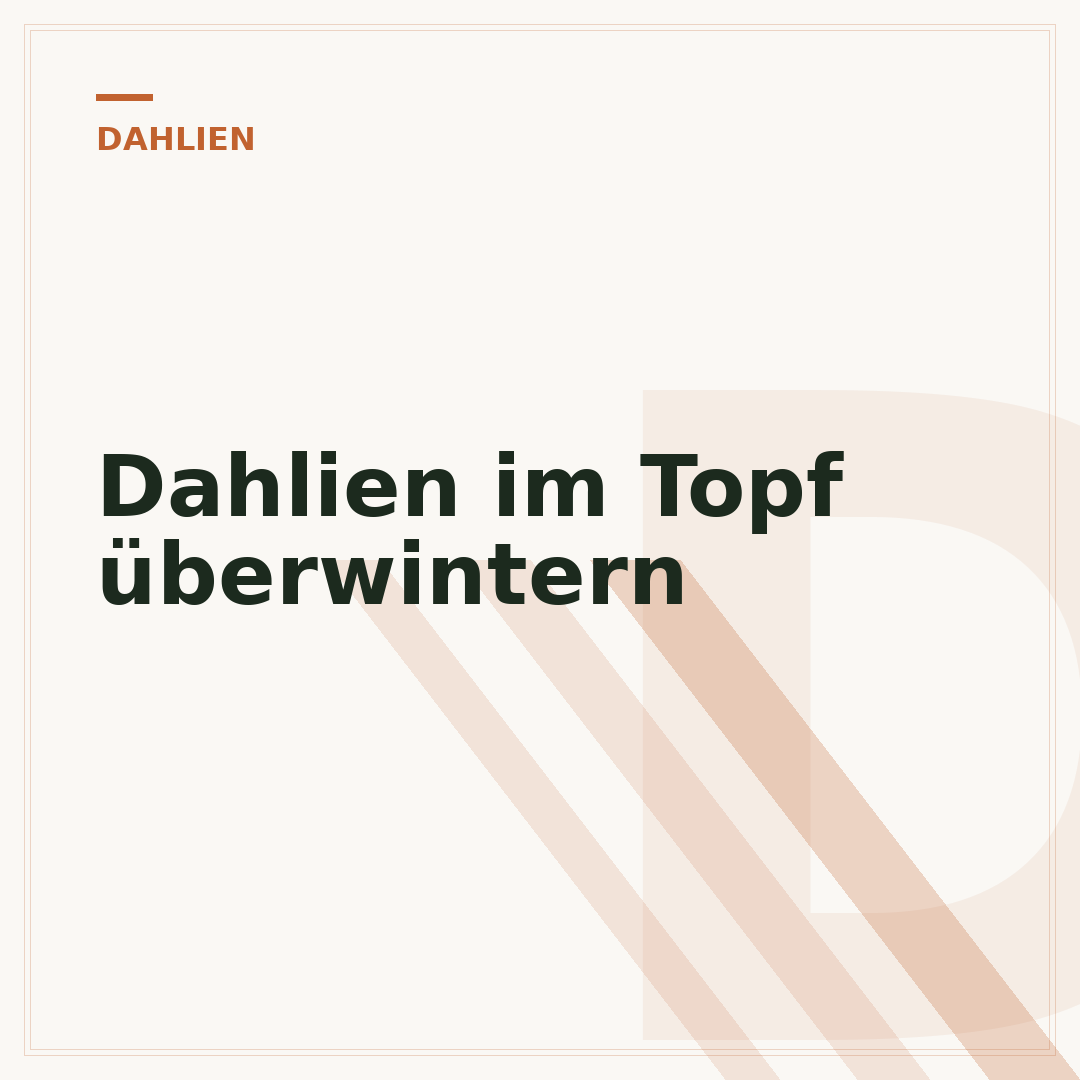 Dahlien im Topf überwintern