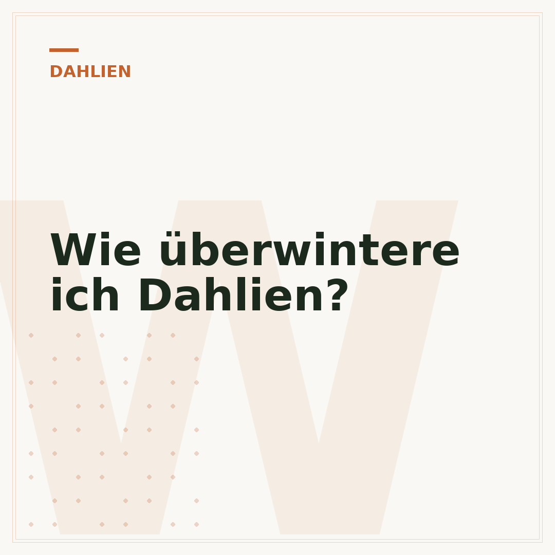 Wie überwintere ich Dahlien?