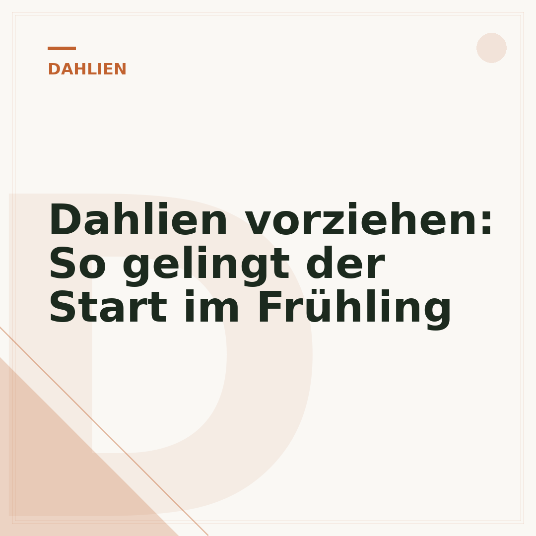 Dahlien vorziehen: So gelingt der Start im Frühling