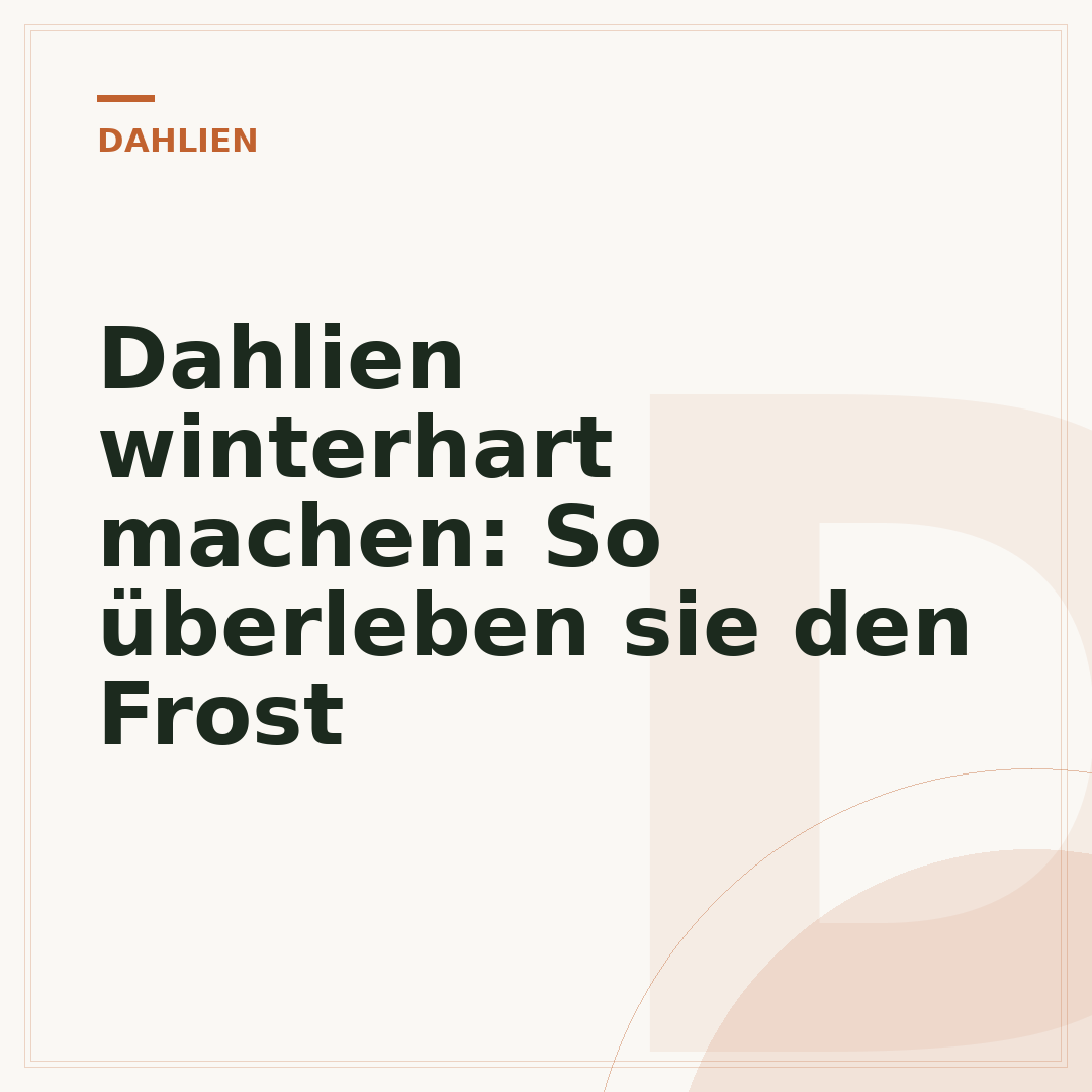 Dahlien winterhart machen: So überleben sie den Frost