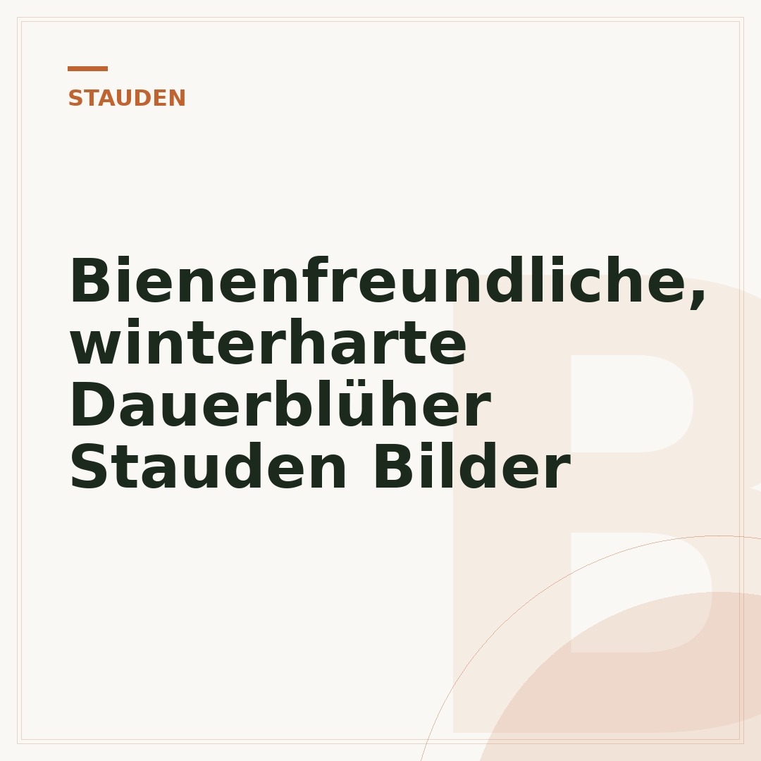 Bienenfreundliche, winterharte Dauerblüher Stauden Bilder