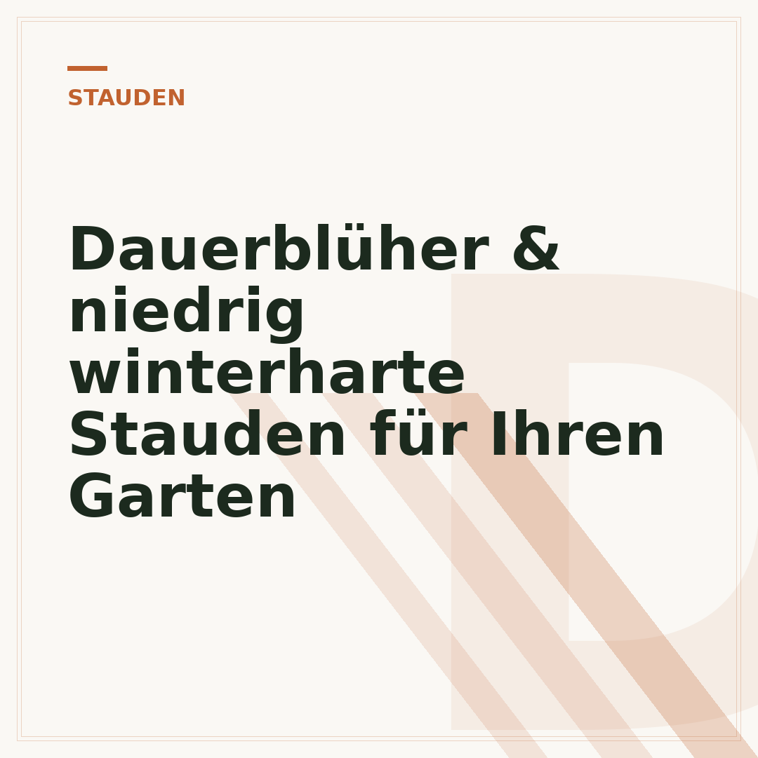 Dauerblüher & niedrig winterharte Stauden für Ihren Garten