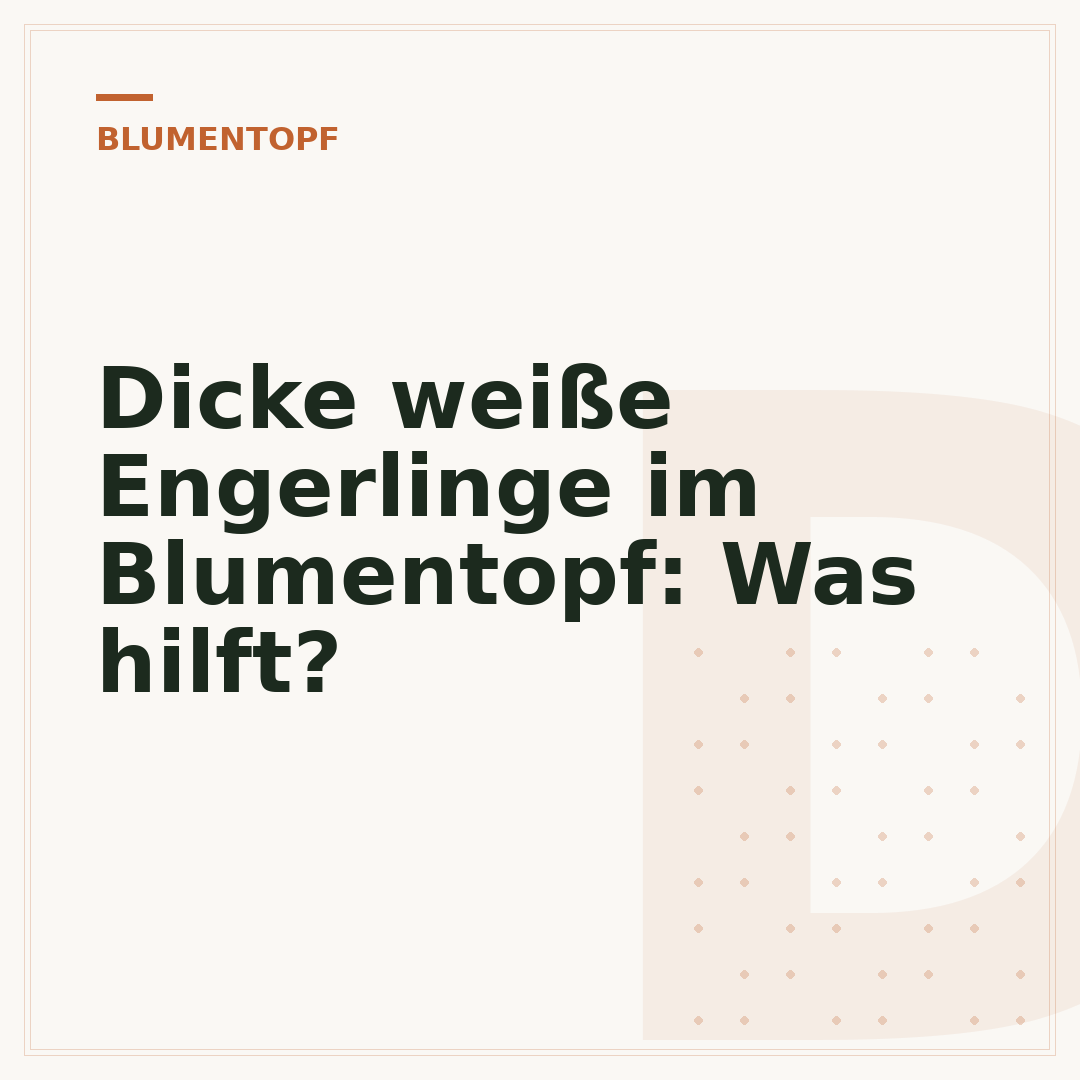 Dicke weiße Engerlinge im Blumentopf: Was hilft?