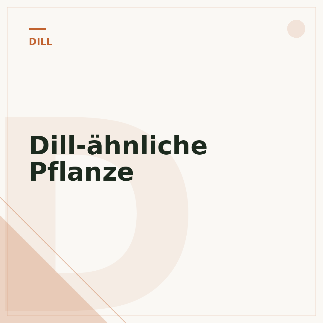 Dill-ähnliche Pflanze