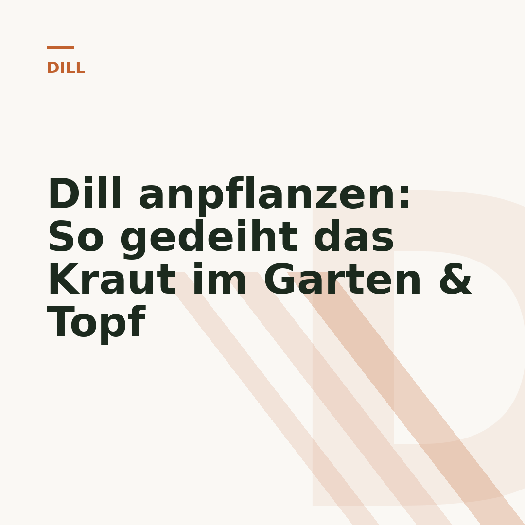 Dill anpflanzen: So gedeiht das Kraut im Garten & Topf
