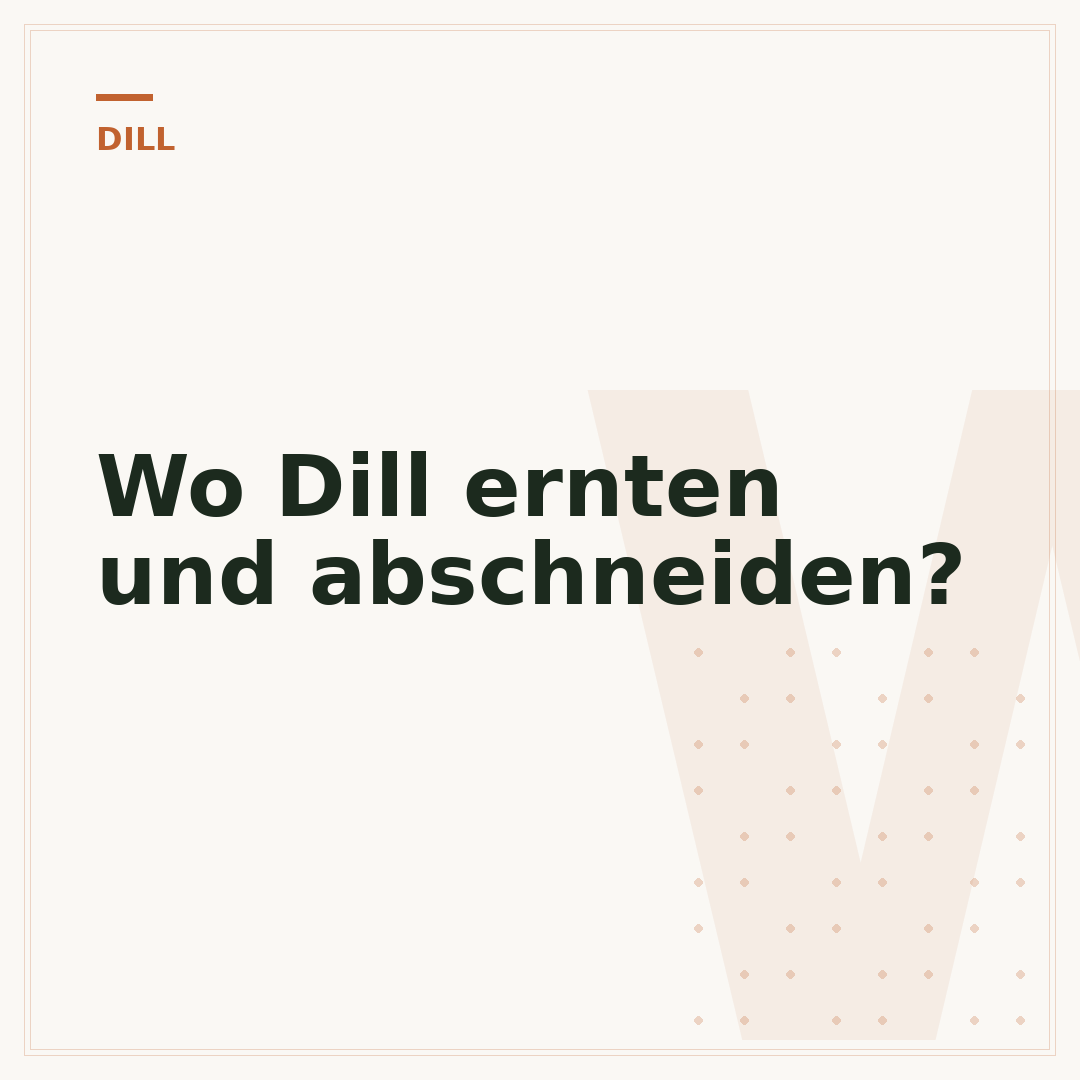 Wo Dill ernten und abschneiden?