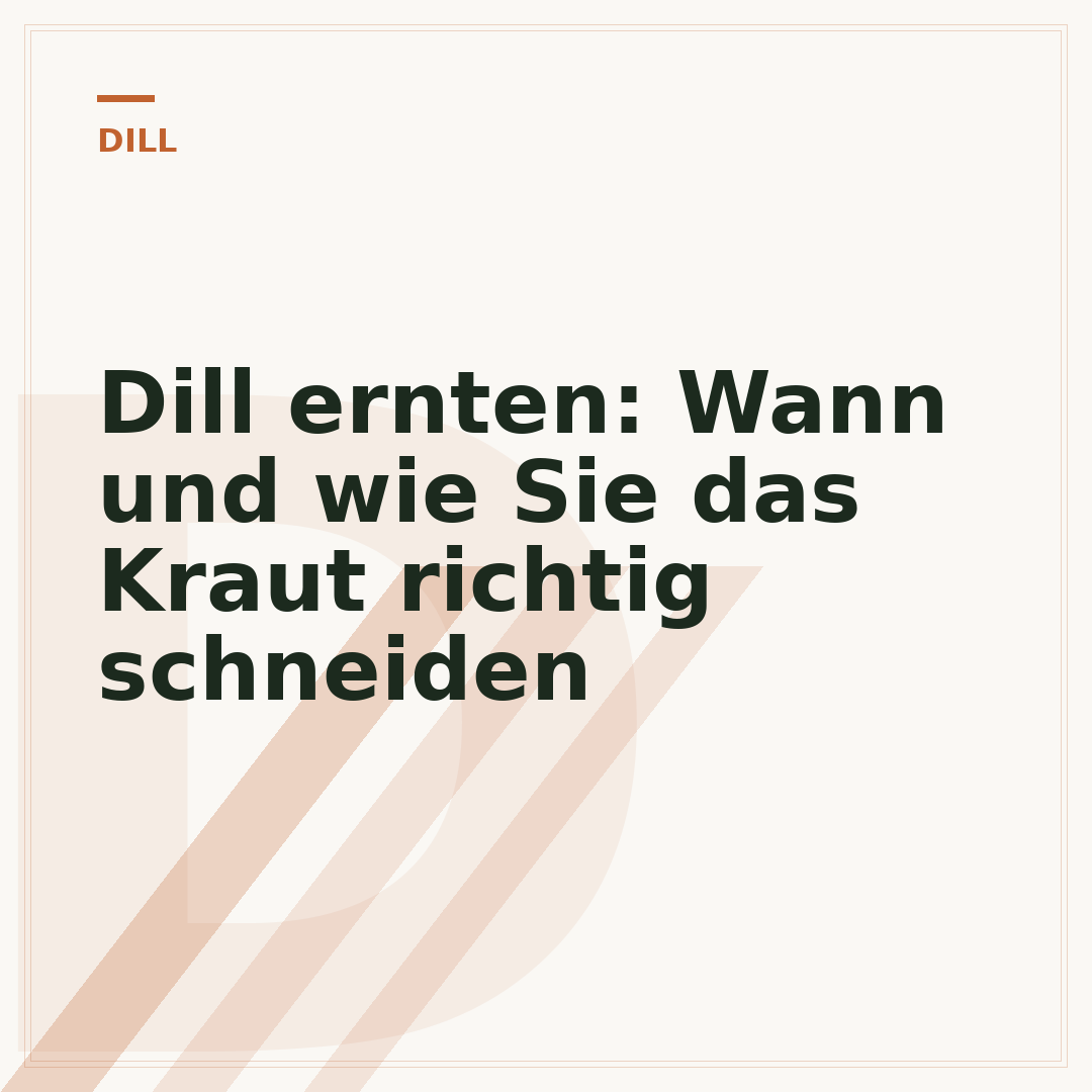 Dill ernten: Wann und wie Sie das Kraut richtig schneiden