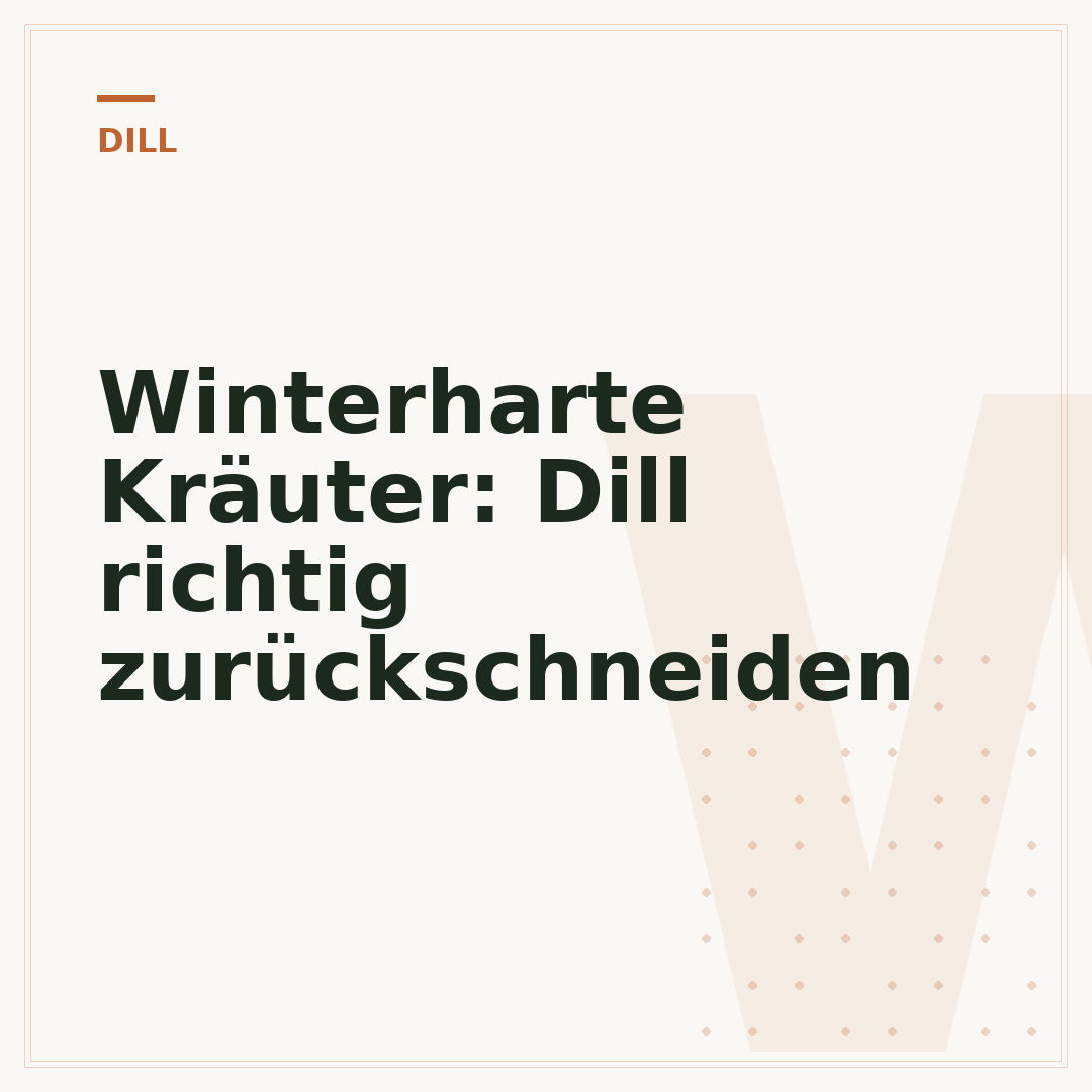 Winterharte Kräuter: Dill richtig zurückschneiden
