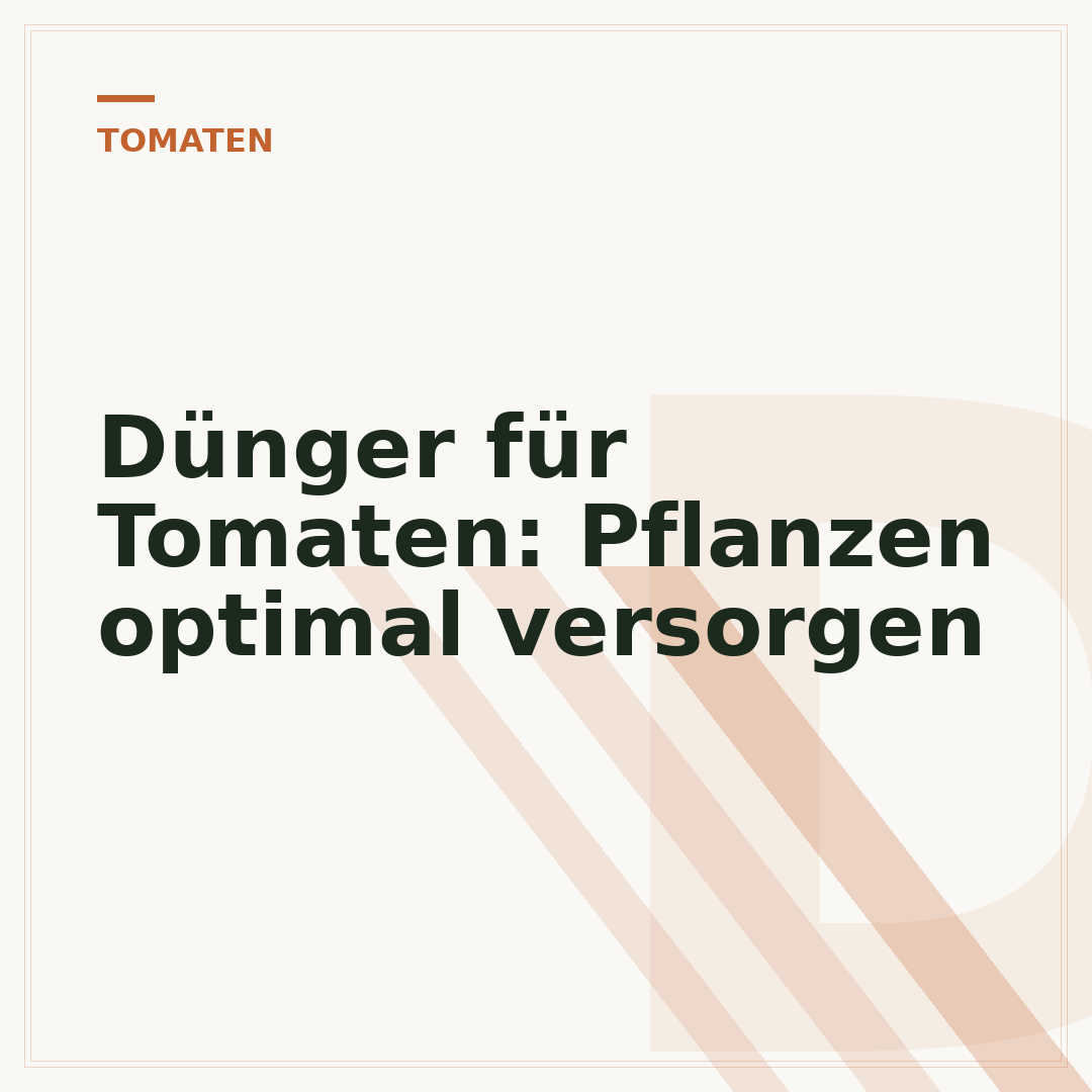 Dünger für Tomaten: Pflanzen optimal versorgen