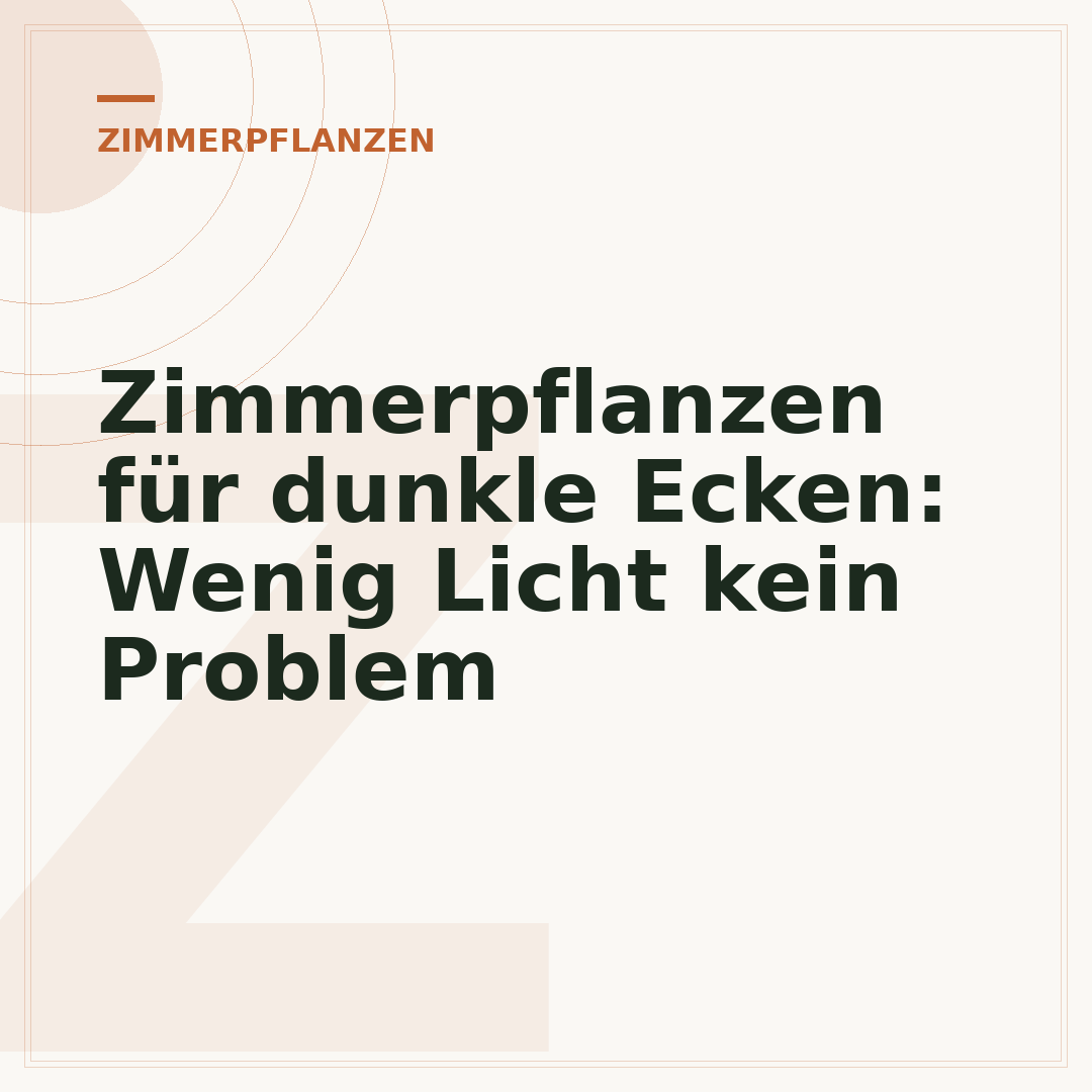 Zimmerpflanzen für dunkle Ecken: Wenig Licht kein Problem