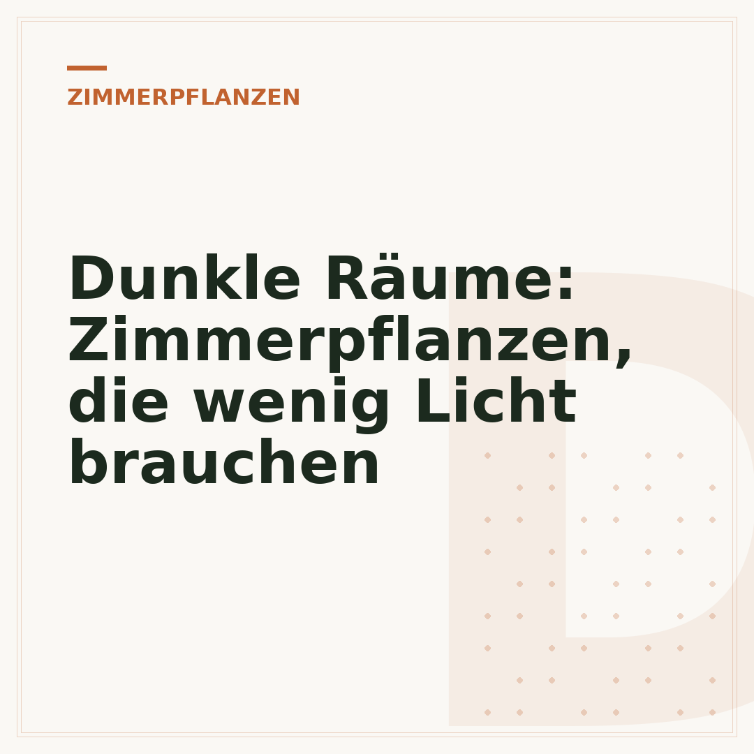 Dunkle Räume: Zimmerpflanzen, die wenig Licht brauchen