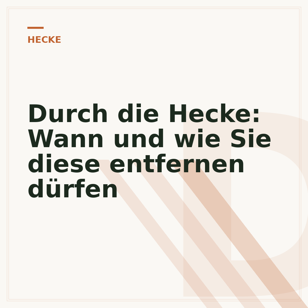 Durch die Hecke: Wann und wie Sie diese entfernen dürfen