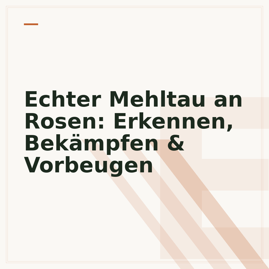 Echter Mehltau an Rosen: Erkennen, Bekämpfen & Vorbeugen