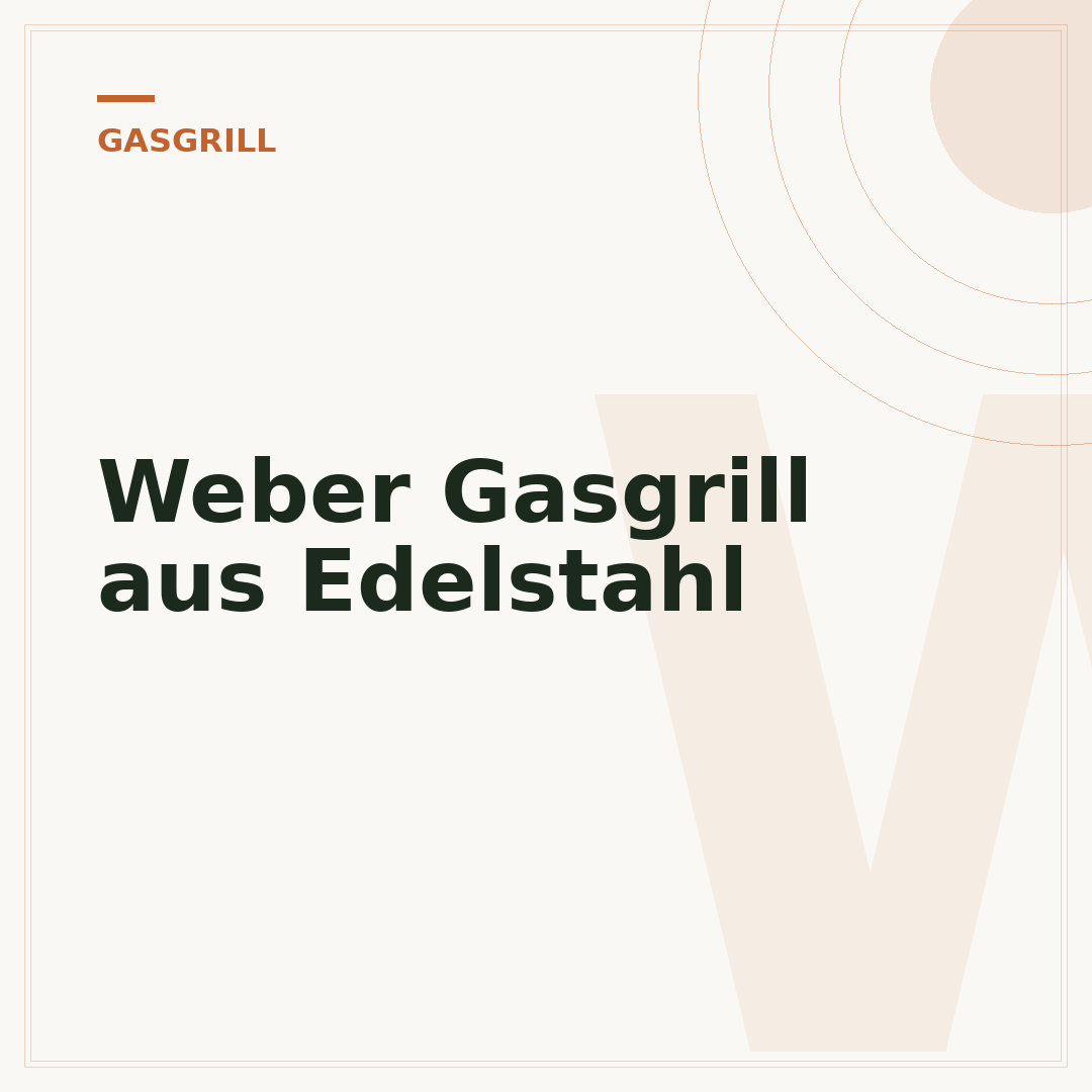 Weber Gasgrill aus Edelstahl