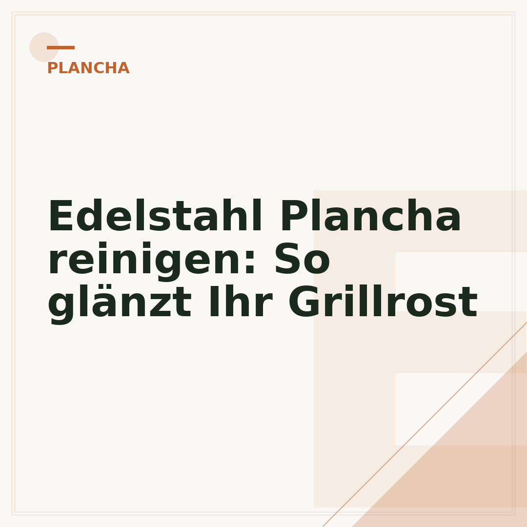 Edelstahl Plancha reinigen: So glänzt Ihr Grillrost