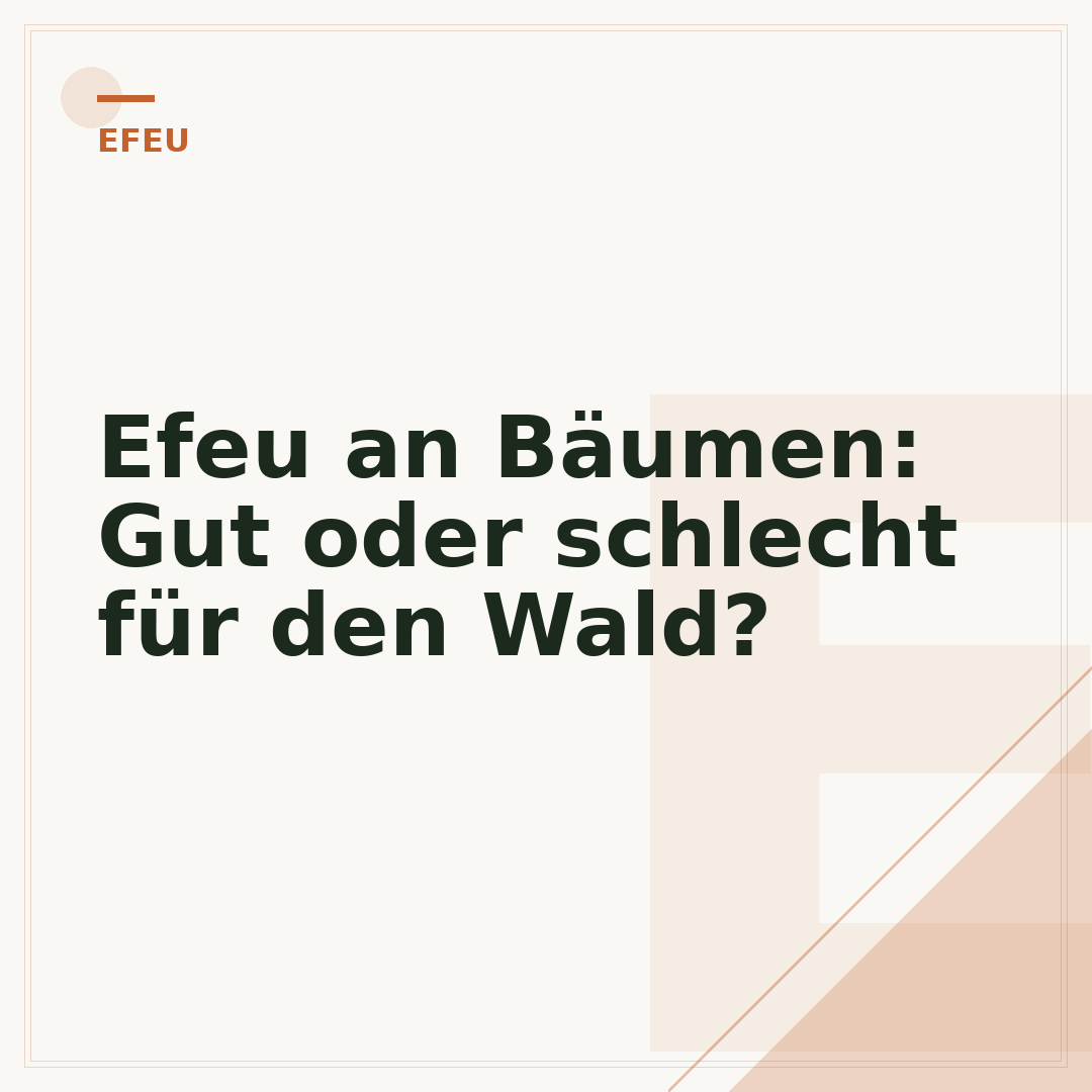 Efeu an Bäumen: Gut oder schlecht für den Wald?