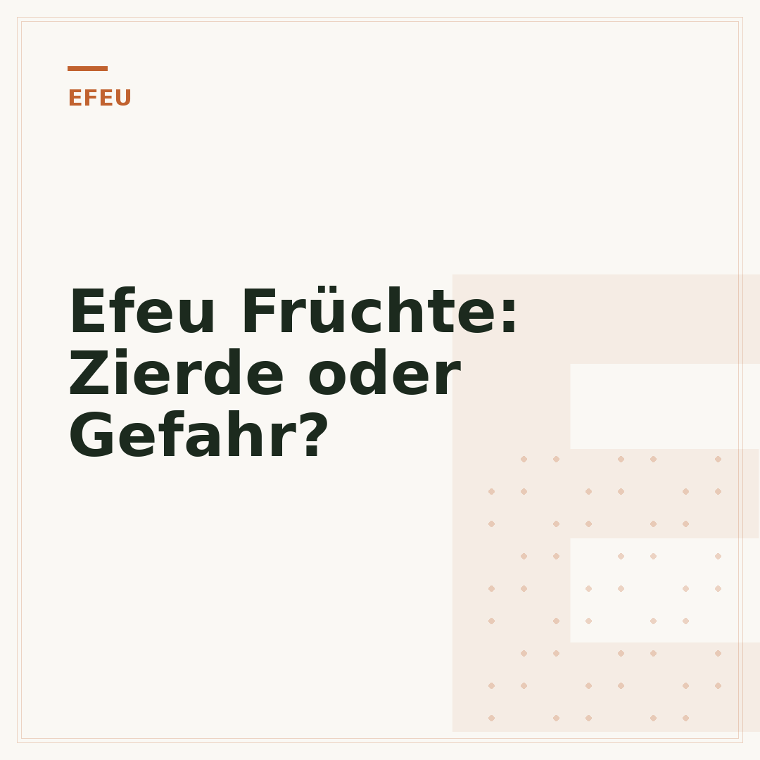 Efeu Früchte: Zierde oder Gefahr?