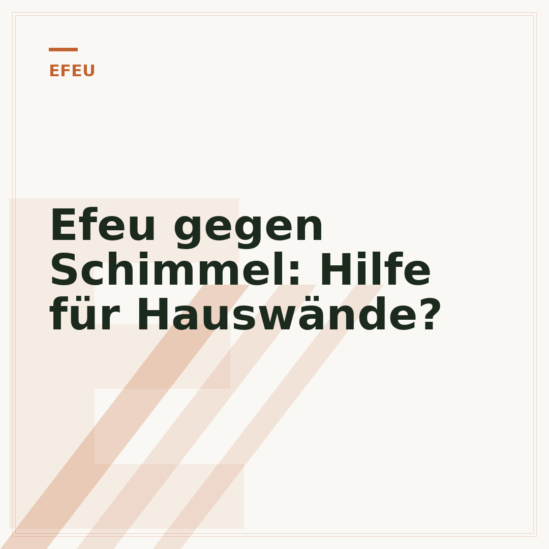 Efeu gegen Schimmel: Hilfe für Hauswände?