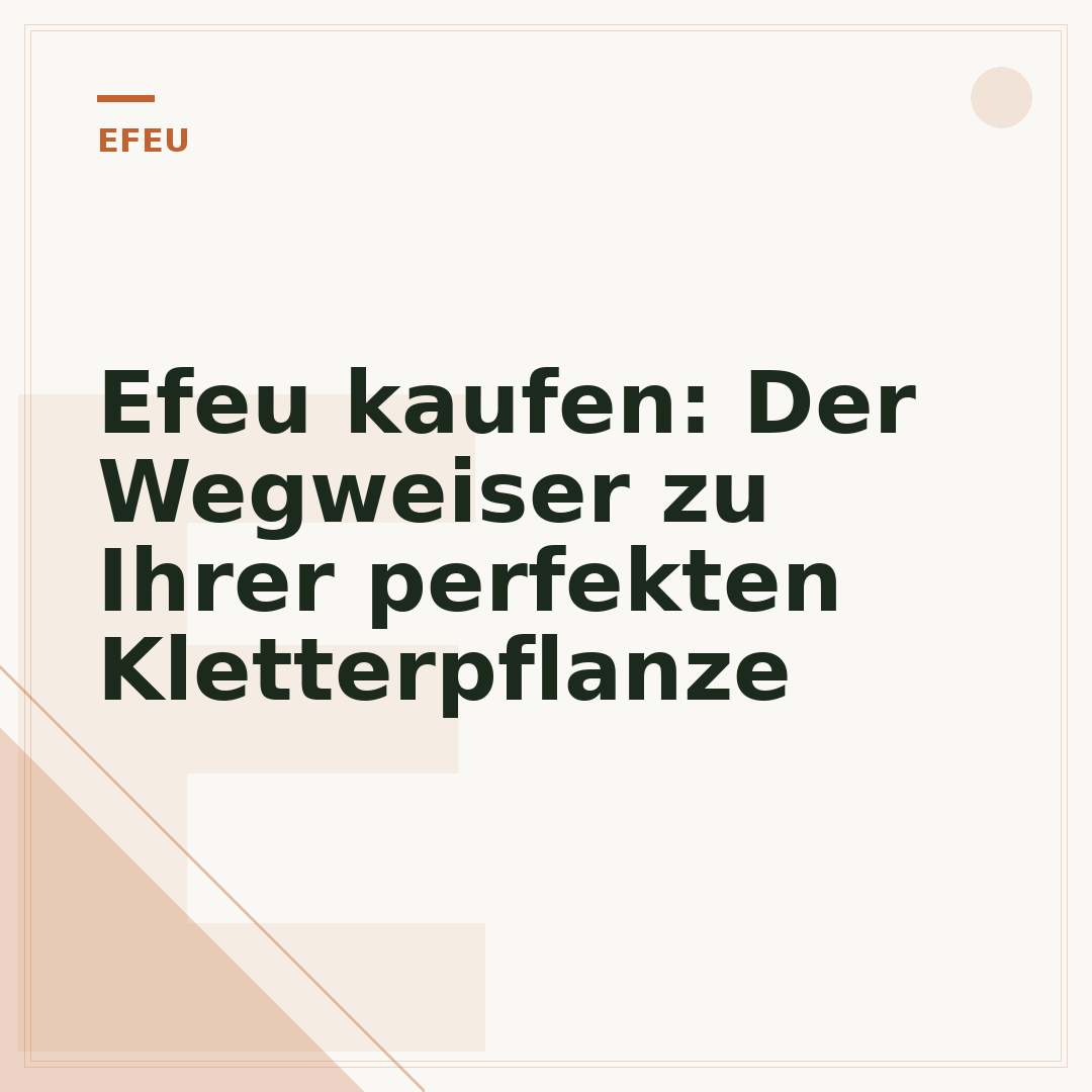 Efeu kaufen: Der Wegweiser zu Ihrer perfekten Kletterpflanze