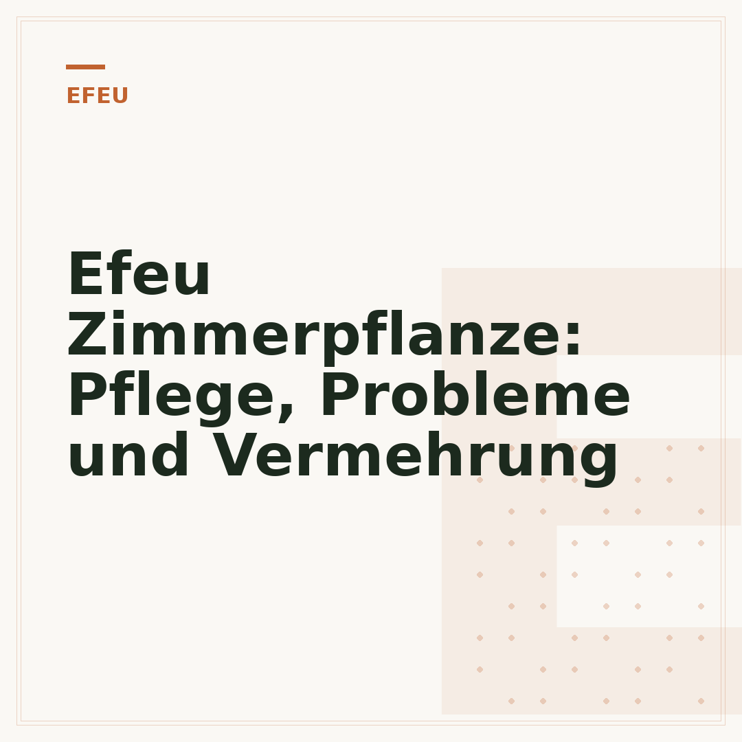 Efeu Zimmerpflanze: Pflege, Probleme und Vermehrung