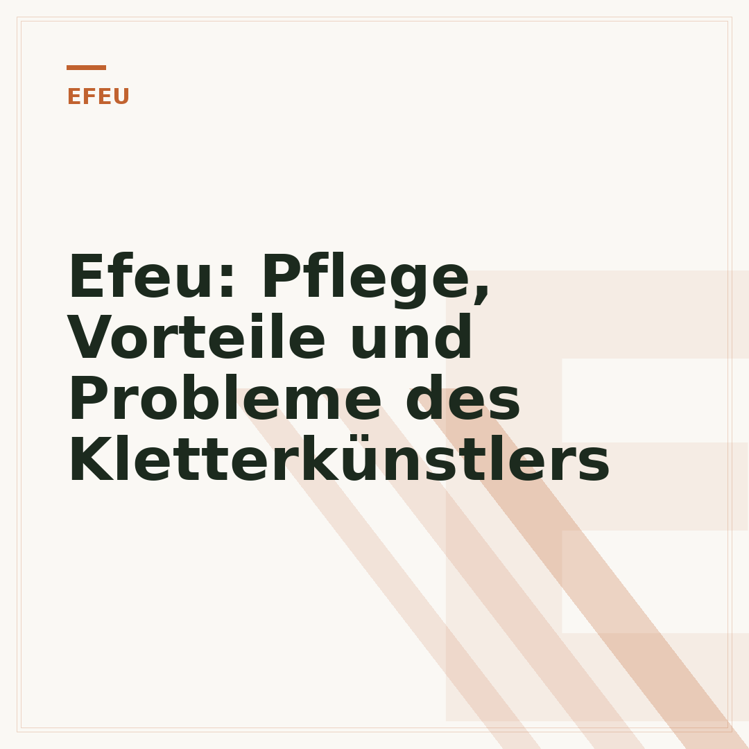 Efeu: Pflege, Vorteile und Probleme des Kletterkünstlers