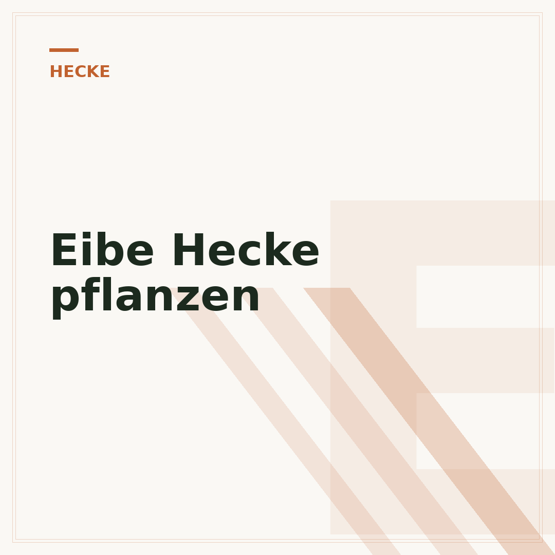 Eibe Hecke pflanzen