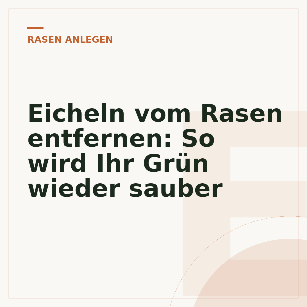 Eicheln vom Rasen entfernen: So wird Ihr Grün wieder sauber