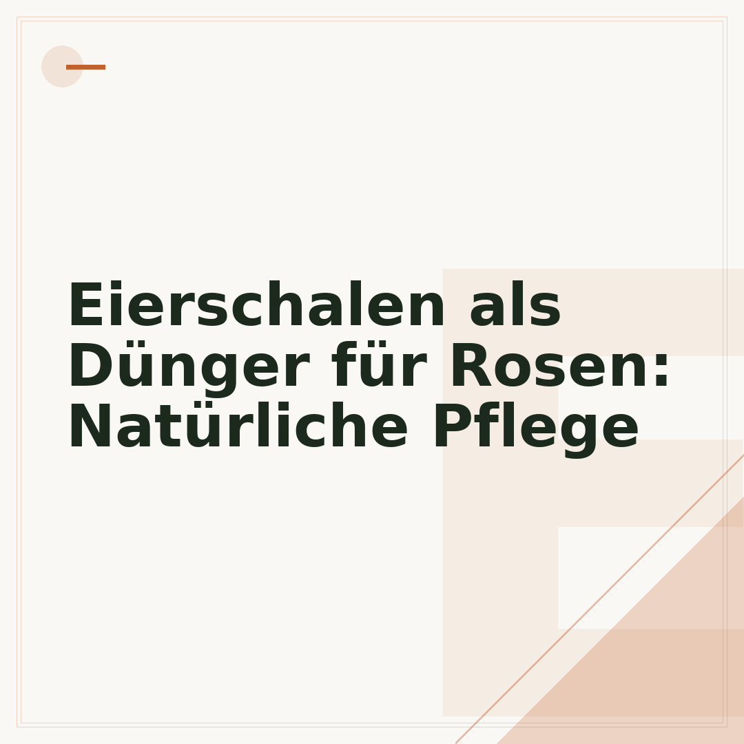 Eierschalen als Dünger für Rosen: Natürliche Pflege