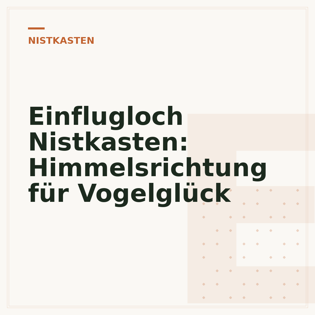 Einflugloch Nistkasten: Himmelsrichtung für Vogelglück