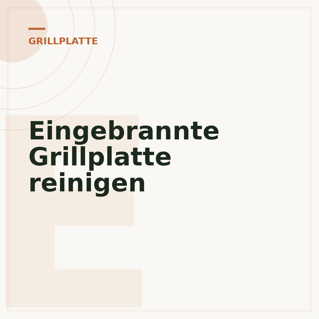 Eingebrannte Grillplatte reinigen