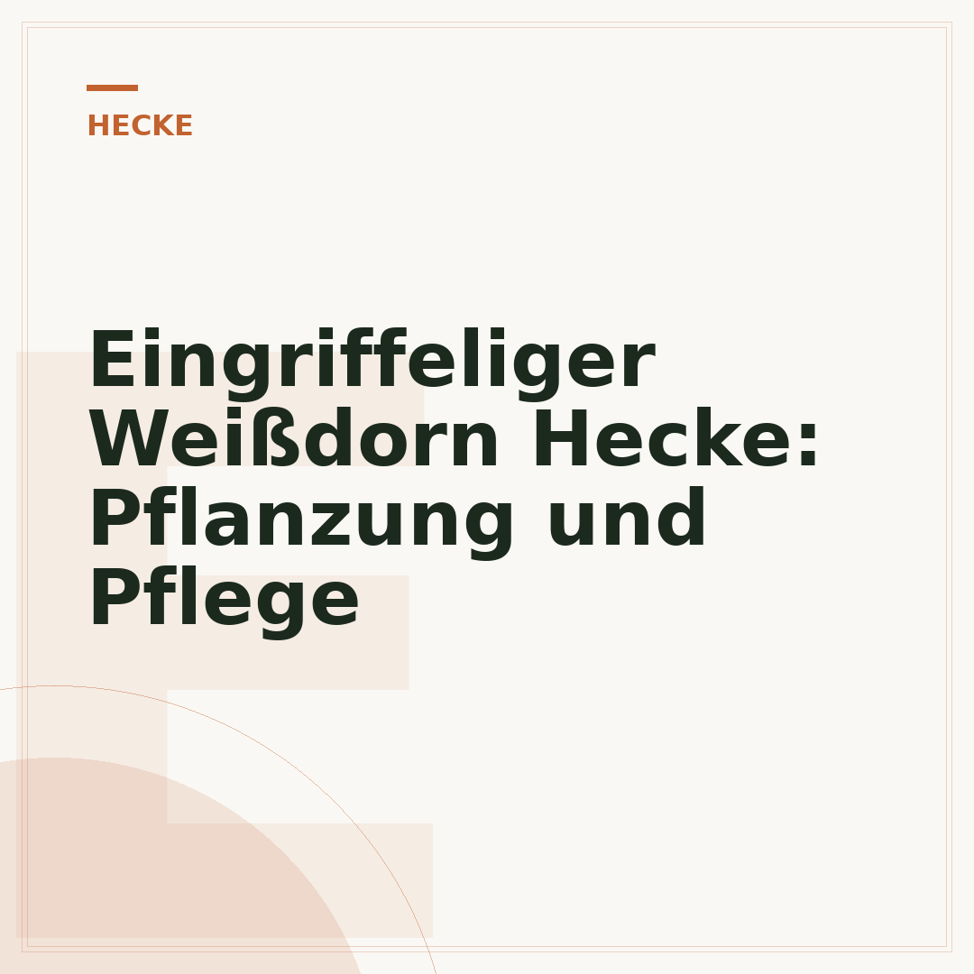 Eingriffeliger Weißdorn Hecke: Pflanzung und Pflege