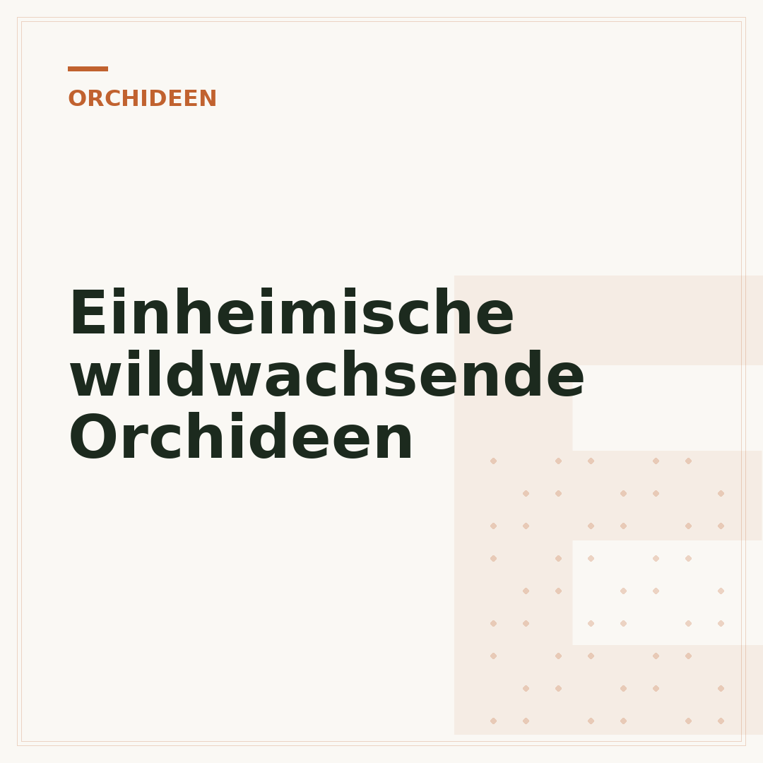 Einheimische wildwachsende Orchideen
