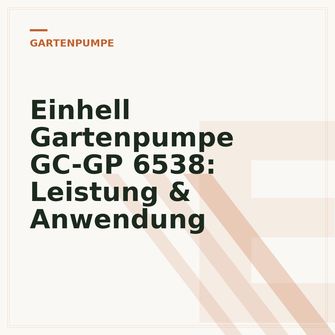 Einhell Gartenpumpe GC-GP 6538: Leistung & Anwendung