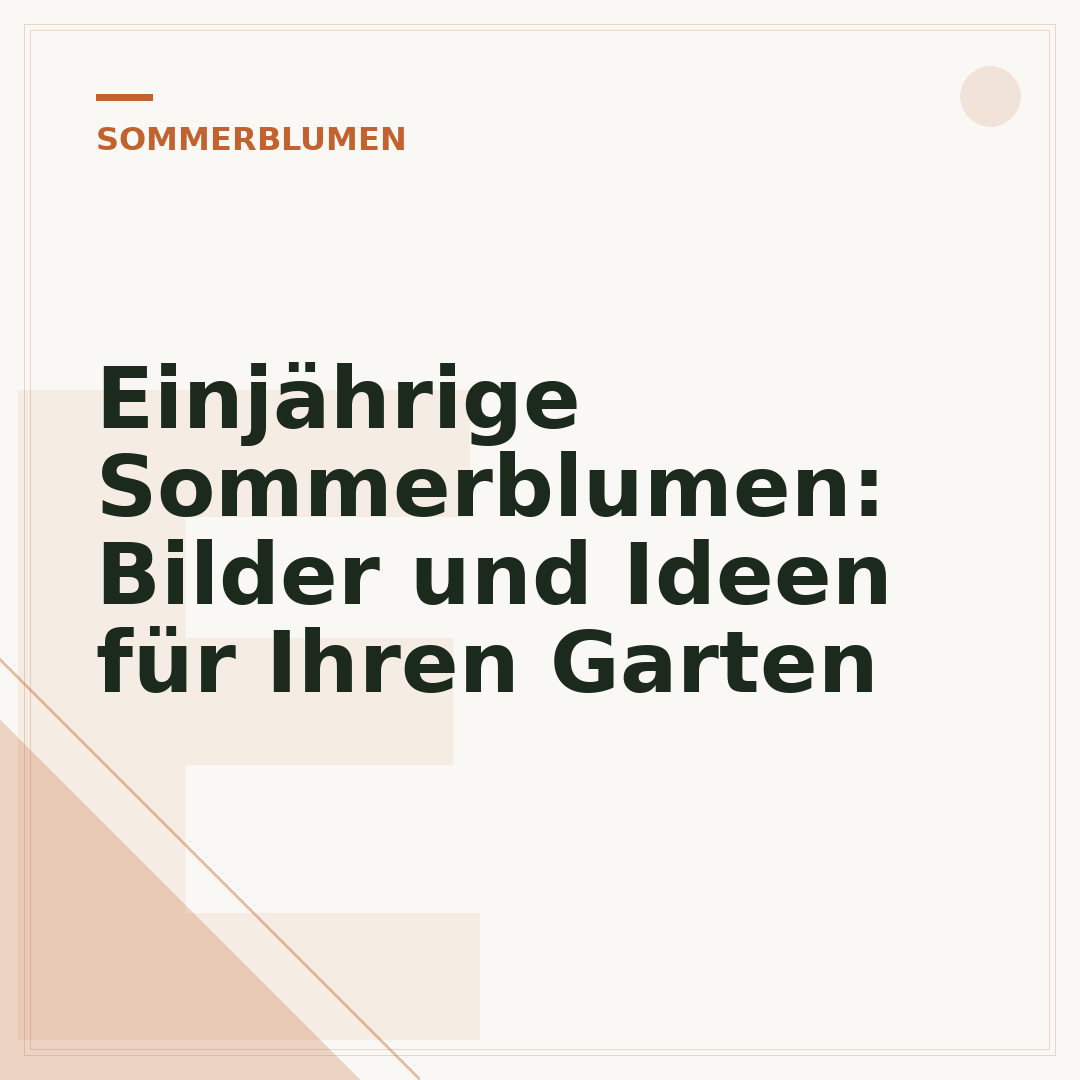 Einjährige Sommerblumen: Bilder und Ideen für Ihren Garten