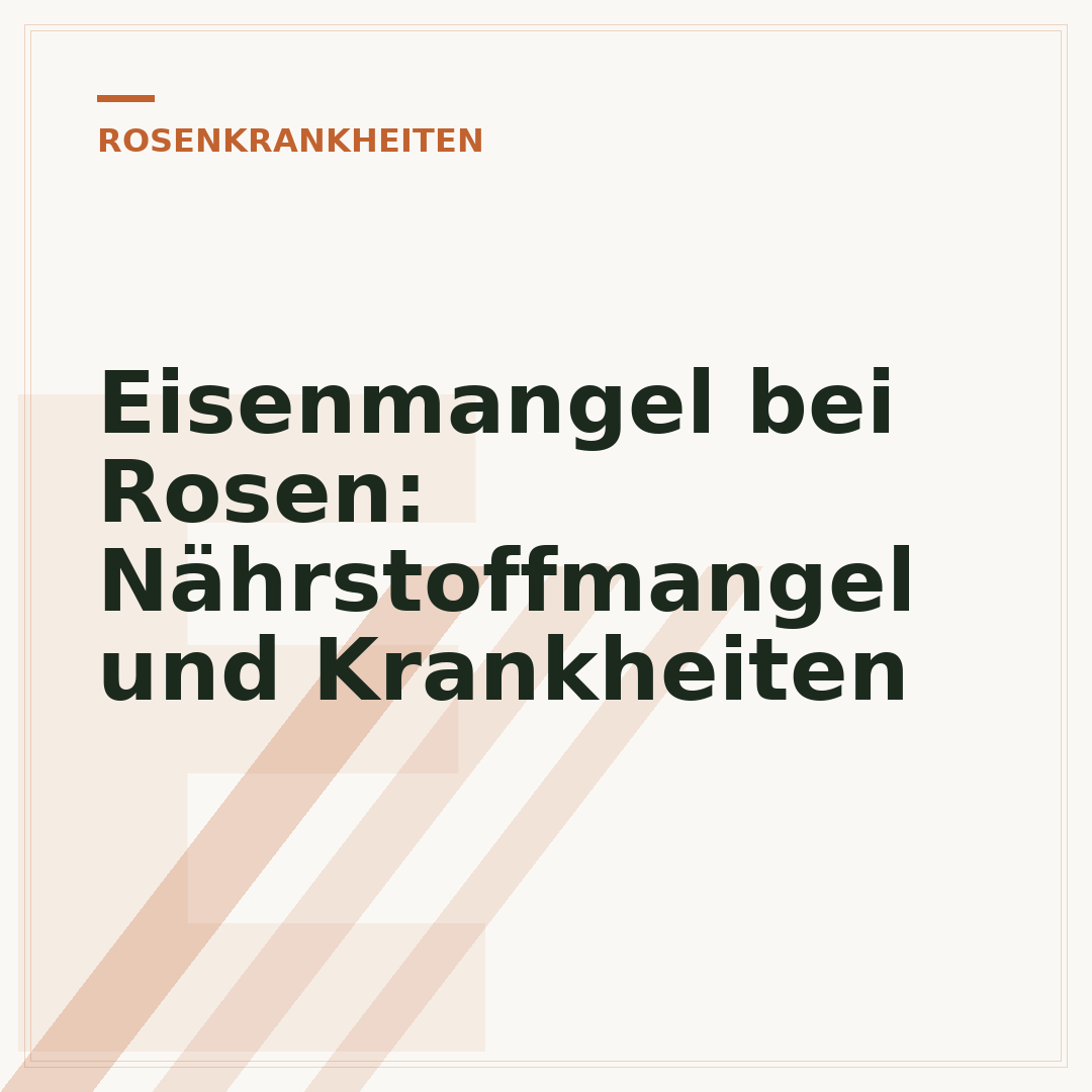 Eisenmangel bei Rosen: Nährstoffmangel und Krankheiten