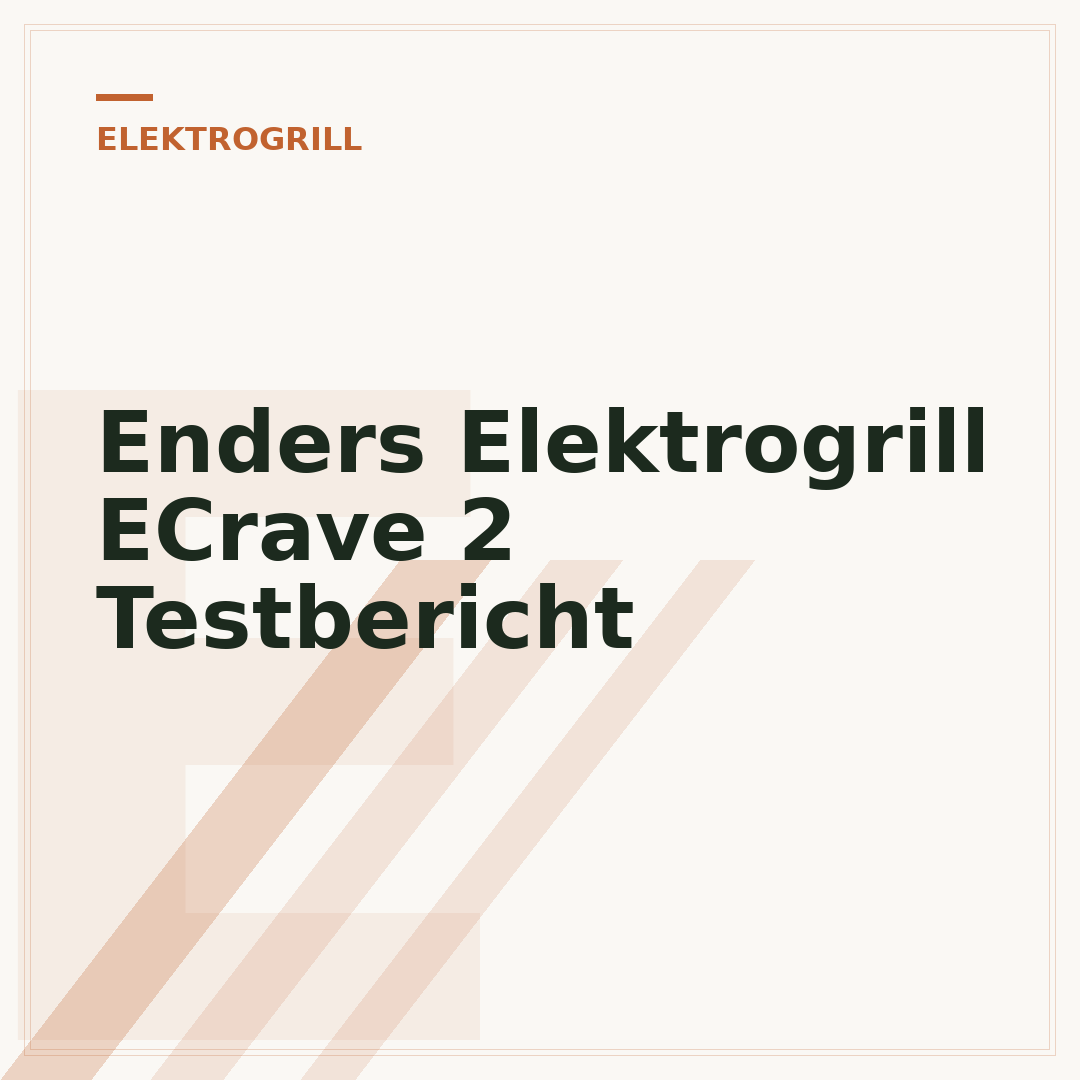 Enders Elektrogrill ECrave 2 Testbericht