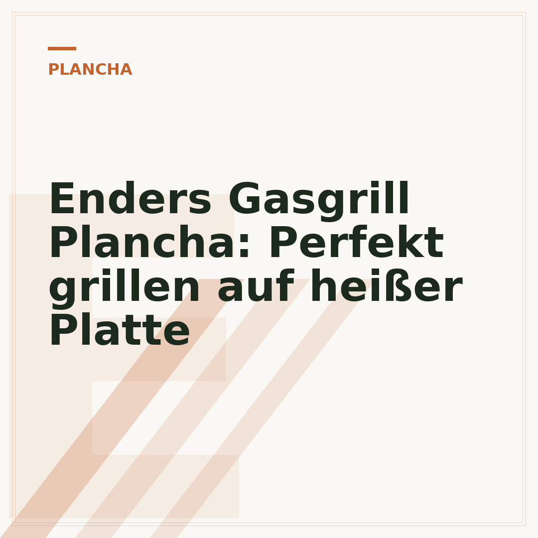 Enders Gasgrill Plancha: Perfekt grillen auf heißer Platte