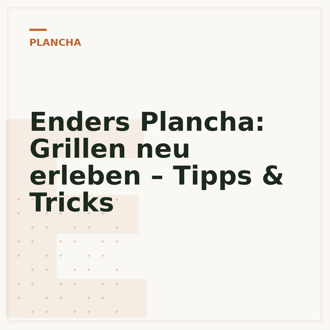 Enders Plancha: Grillen neu erleben – Tipps & Tricks