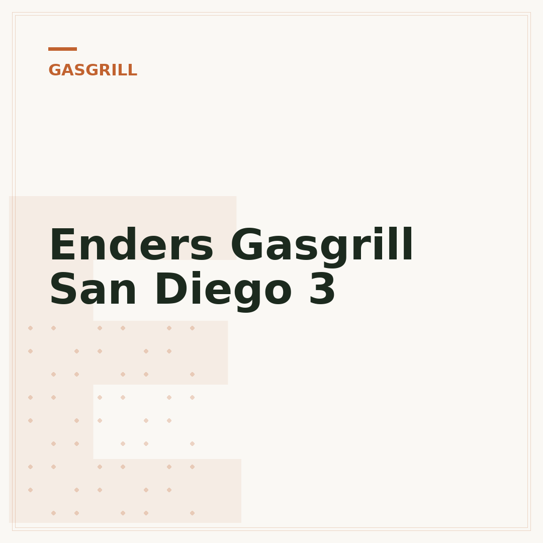 Enders Gasgrill San Diego 3