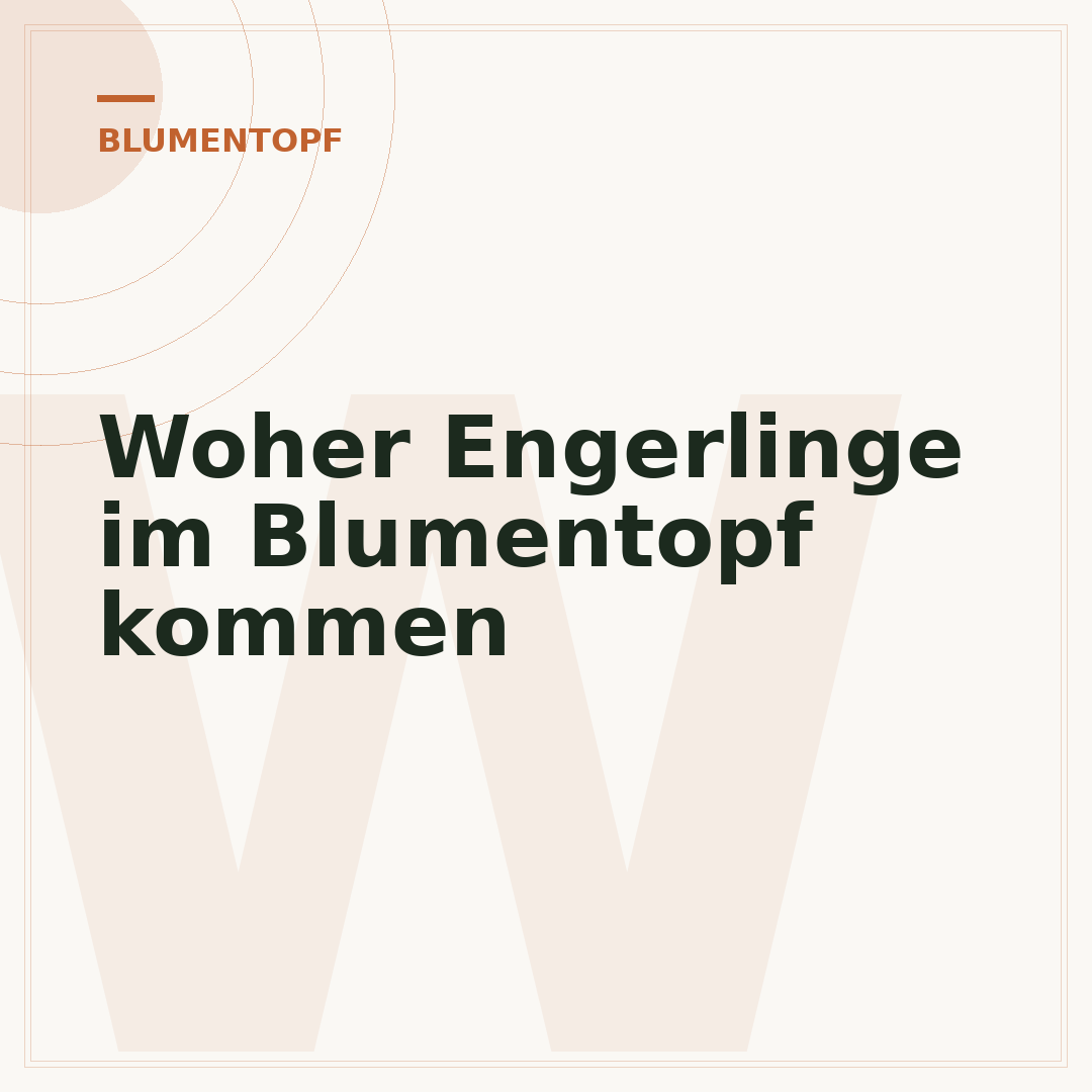 Woher Engerlinge im Blumentopf kommen