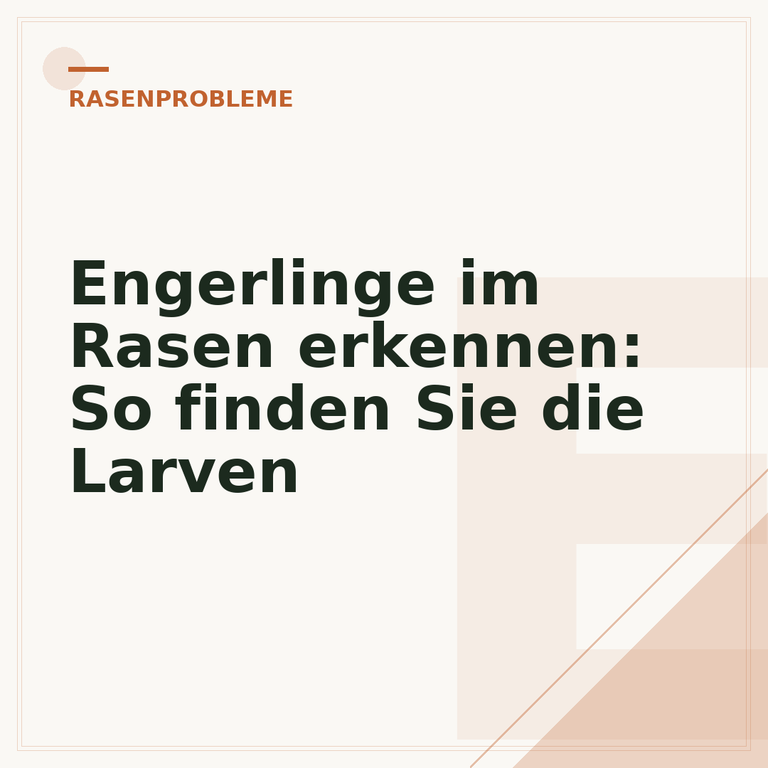 Engerlinge im Rasen erkennen: So finden Sie die Larven